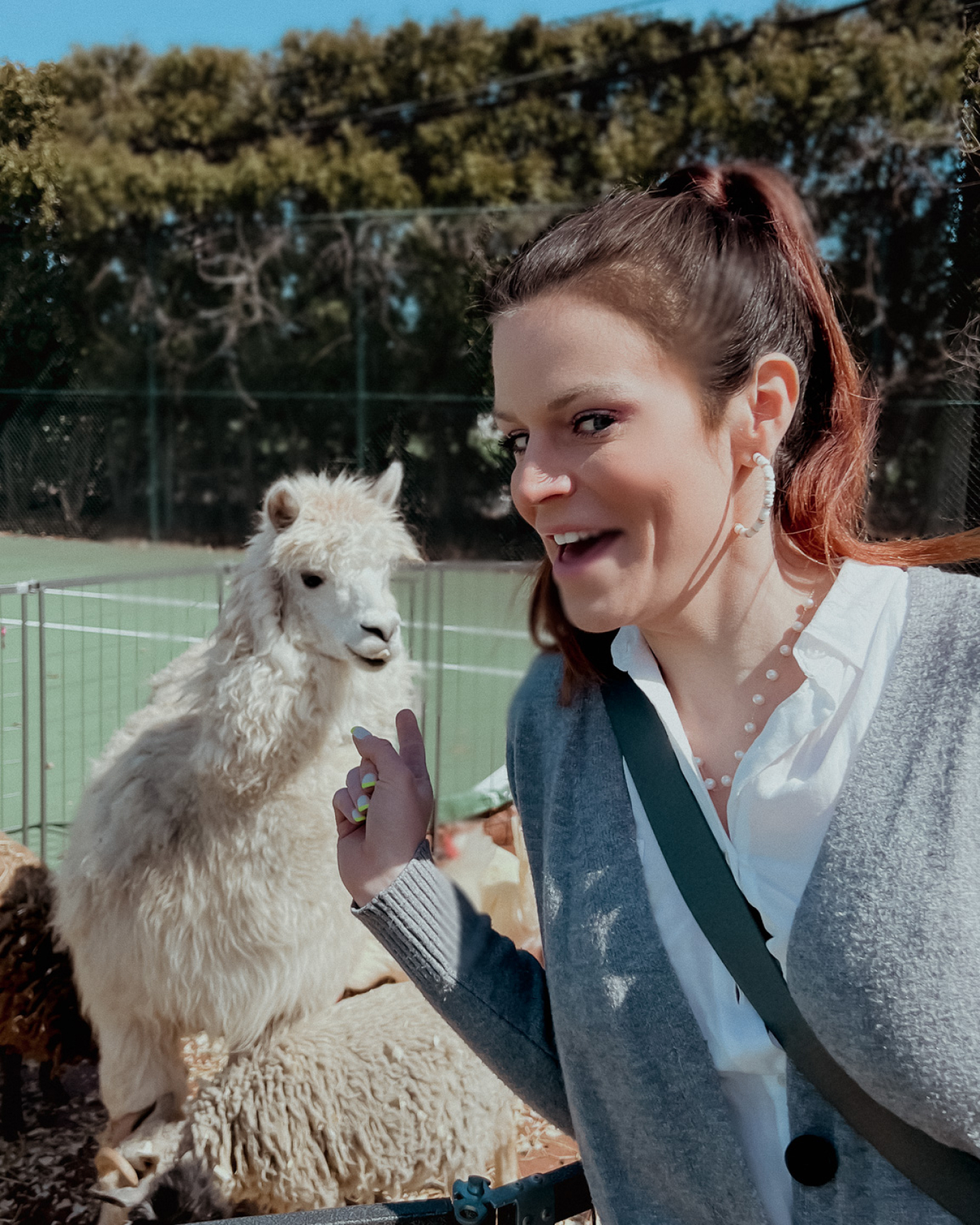 Casey Kolp with a white llama.